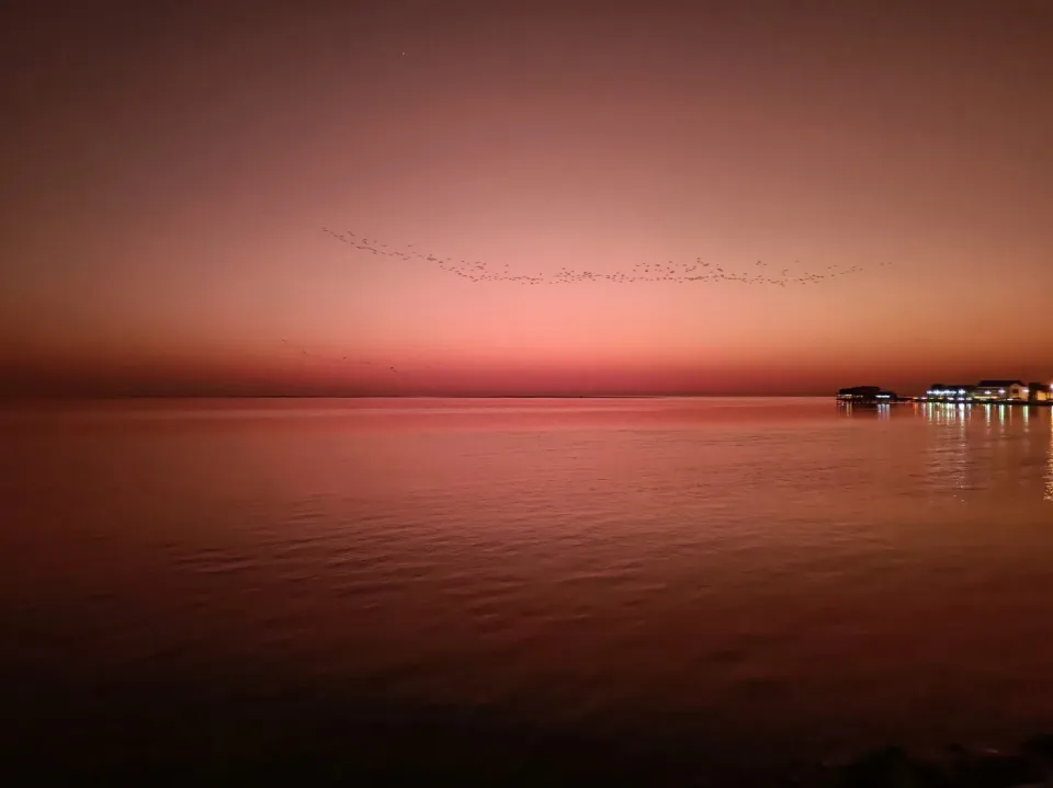 Ein Schwarm Vögel vor dem Sonnenuntergang über der Bucht in Walvis Bay